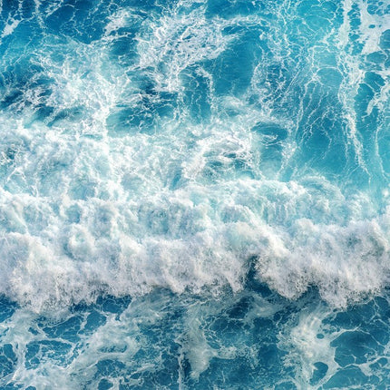 Aquatic