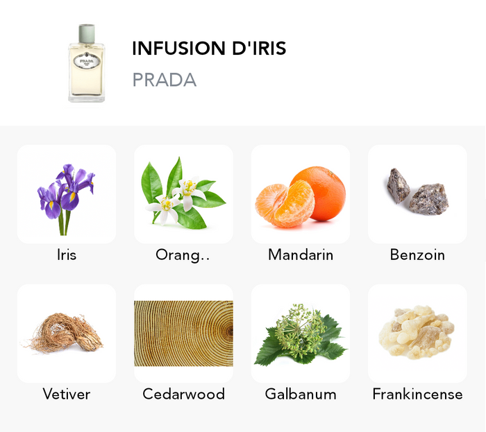 Inspirace této vůně